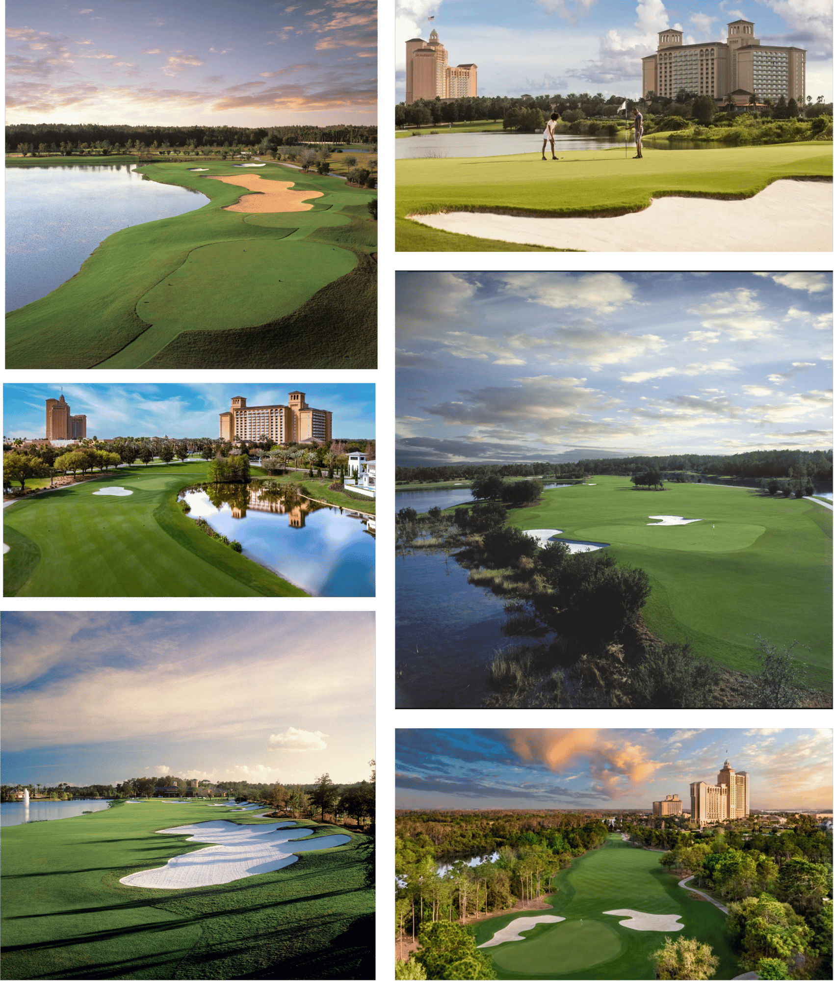 Picture12 Picture12
