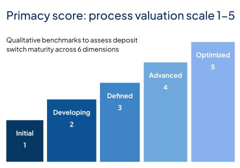 Primacy Assessment Simple Slides (6)